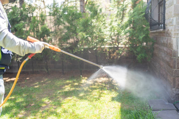 Best Mosquito Control Services  in Lake Wales, FL