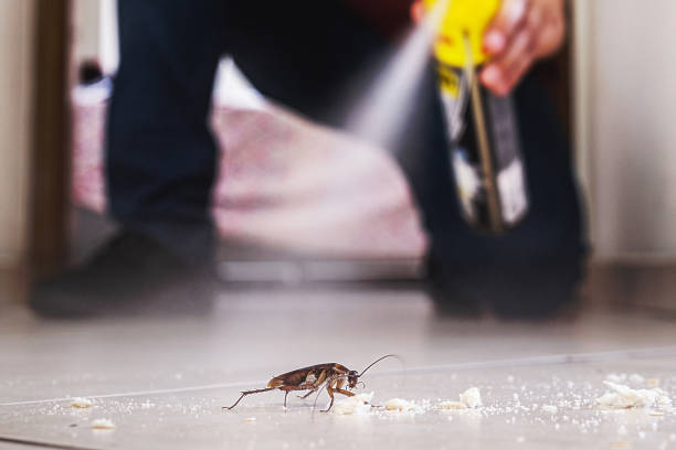 Best Pest Removal Services  in Lake Wales, FL