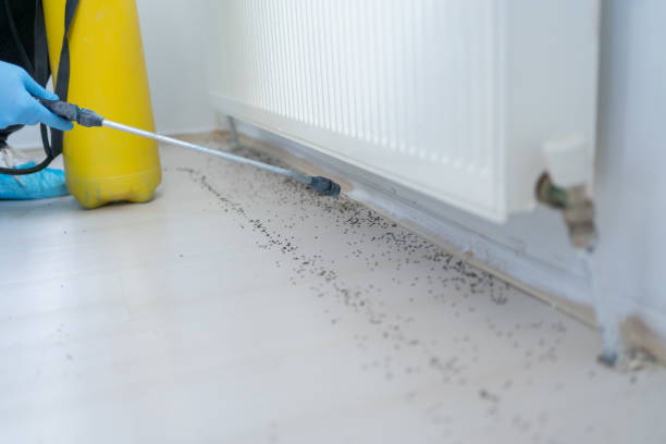 Best Residential Pest Control  in Lake Wales, FL