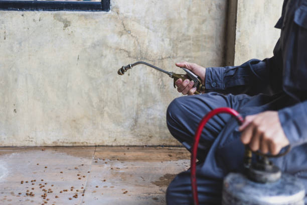 Best Pest Inspection Near Me  in Lake Wales, FL
